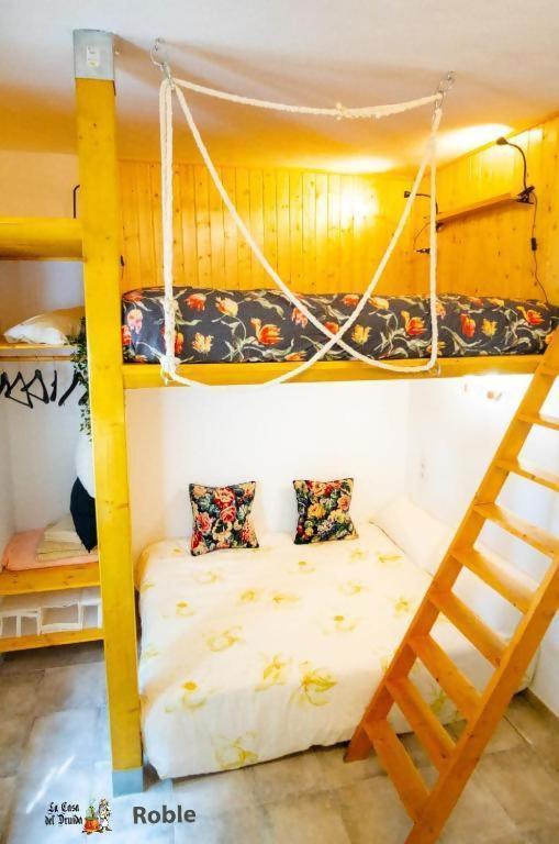 La Casa Del Druida Ii Appartement *